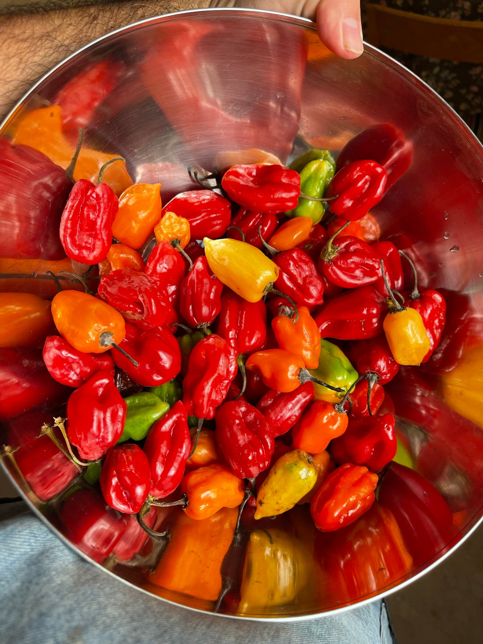 ¿Cómo fermentar chiles?
