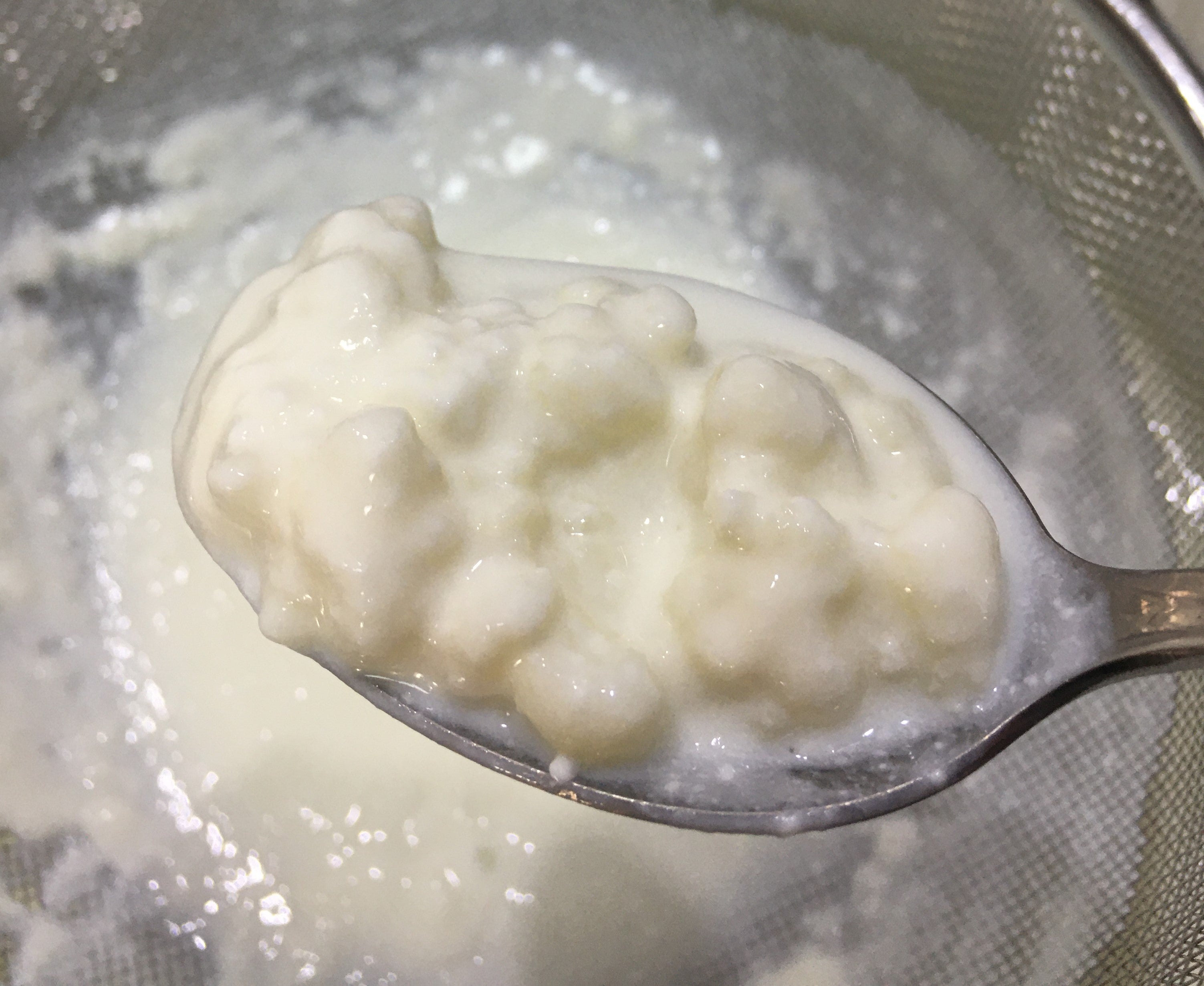 ¿Cómo hacer kéfir y en qué usarlo?