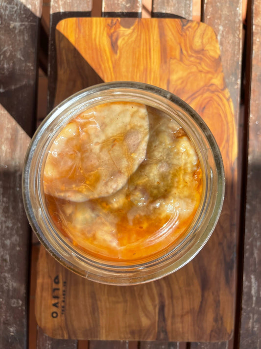 Cómo hacer kombucha