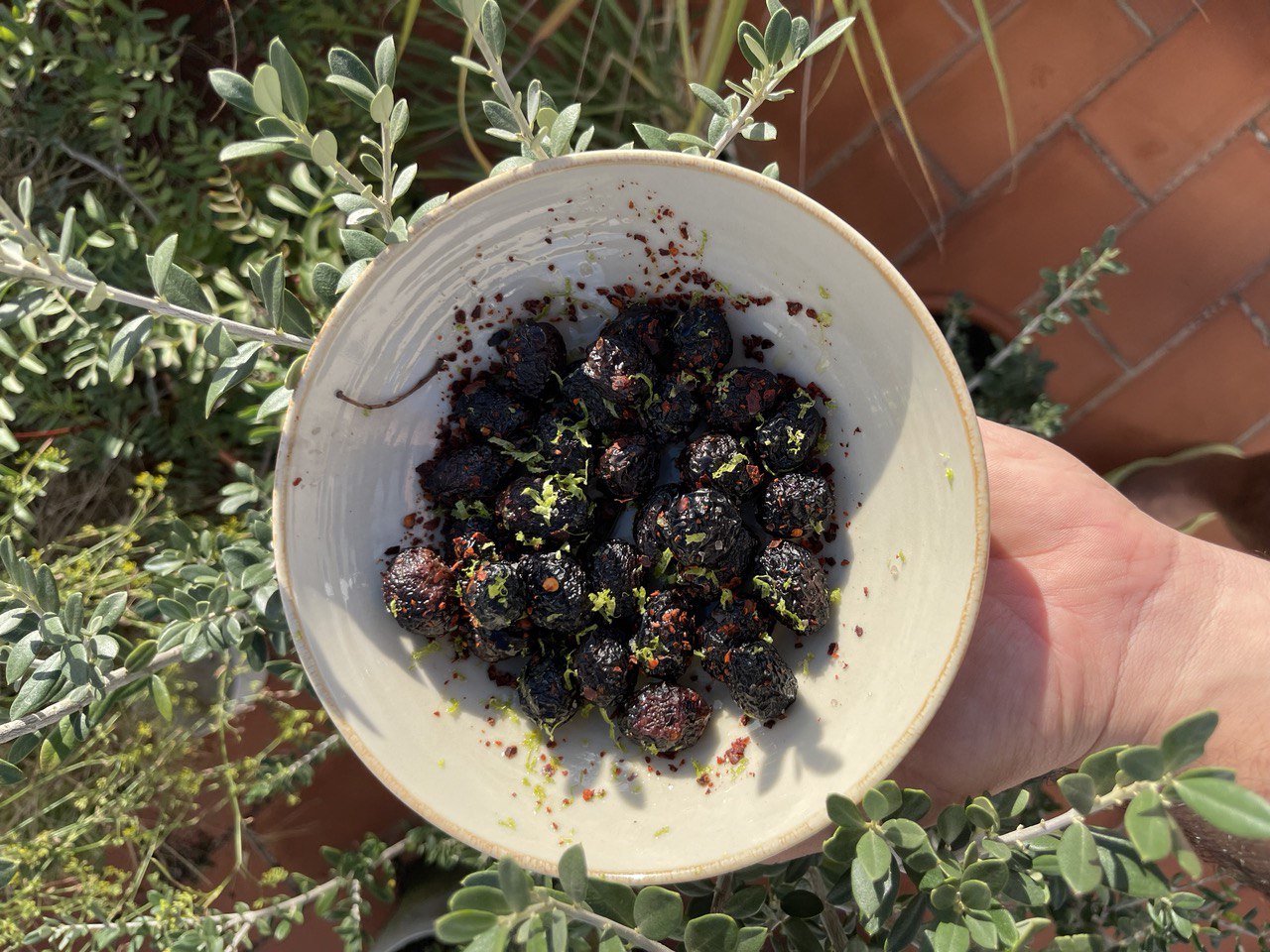 Cómo curar aceitunas negras en sal