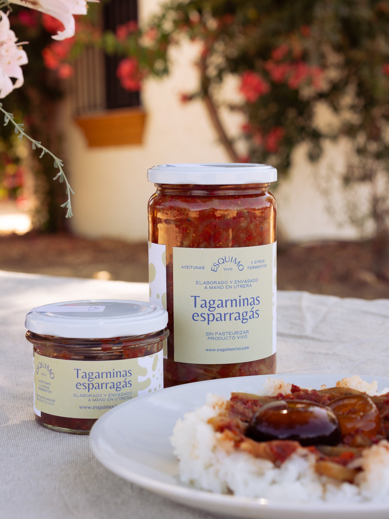 Tagarninas esparragás